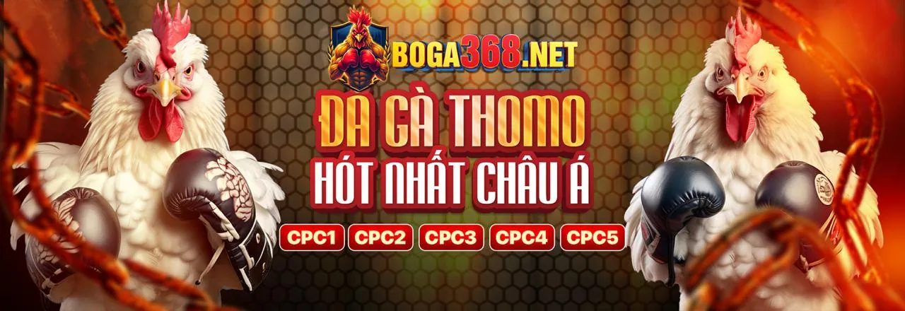 Lợi ích khi chơi đá gà tại C7Clubs